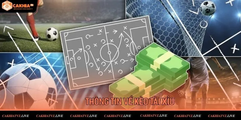 Thông tin về kèo cược tài xỉu được săn đón nhất 2026